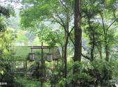 杭州西湖风景名胜区旅游攻略 之 龙井村