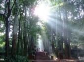 彭山县彭祖故里旅游攻略 之 长寿梯