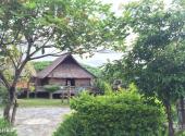 普洱中华普洱茶博览苑旅游攻略 之 村村寨寨