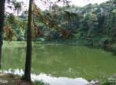 四川兴文石海旅游区旅游攻略 之 大龙潭