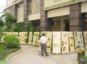 广东革命历史博物馆旅游攻略 之 流动展览