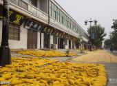 河南民权王公庄旅游攻略 之 农民绘画院