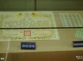 临江花山国家森林公园旅游攻略 之 展品