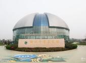 山东诸城恐龙国家地质公园旅游攻略 之 诸城中国暴龙馆