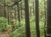 岳西妙道山风景区旅游攻略 之 临济塔