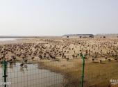 齐齐哈尔龙腾生态温泉度假庄园旅游攻略 之 观光养殖区