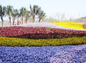青岛世界园艺博览会旅游攻略 之 花卉