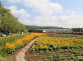 黑龙江农业经济职业学院芍菊古苑景区旅游攻略 之 芍菊古苑