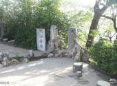 宣威东山风景区旅游攻略 之 倒洒金钱