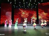 佛山长鹿旅游休博园旅游攻略 之 大舞台表演