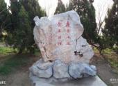 淮安涟水五岛风景区旅游攻略 之 清廉石