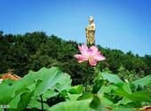 大连横山北普陀主题文化公园旅游攻略 之 莲花池