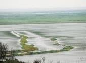 江西鄱阳湖南矶湿地国家级自然保护区旅游攻略 之 南矶湿地