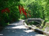 辽宁新宾和睦国家森林公园旅游攻略 之 神树沟