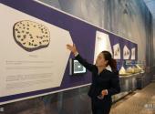 甘肃大地湾遗址博物馆旅游攻略 之 展区