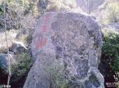 邢台蝎子沟国家森林公园旅游攻略 之 金銮垴