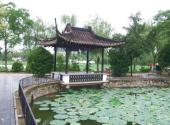 淮安涟水五岛风景区旅游攻略 之 廉池