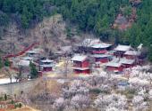 沂水灵泉山旅游区旅游攻略 之 灵泉寺