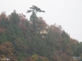 遵化鹫峰山旅游攻略 之 红叶满山