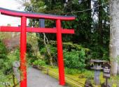 加拿大维多利亚市旅游攻略 之 日本花园