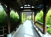 平昌驷马水乡旅游区旅游攻略 之 文化长廊