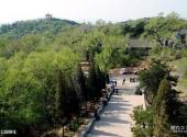 临江花山国家森林公园旅游攻略 之 公园绿化