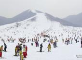 三门峡甘山国家森林公园旅游攻略 之 滑雪场