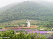 大连小黑山森林公园旅游攻略 之 紫云花汐薰衣草庄园