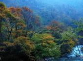 四川雅安二郎山旅游攻略 之 喇叭河