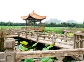 黔西南安龙招堤风景区旅游攻略 之 九曲桥