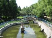 绥化金龟山庄旅游攻略 之 龟灵泉