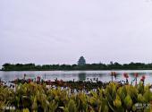 苏州金鸡湖景区旅游攻略 之 桃花岛