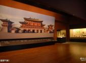陕西历史博物馆旅游攻略 之 《盛唐气象》