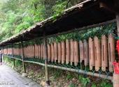 桂林义江缘景区旅游攻略 之 长寿文化长廊