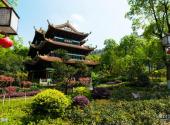 宜宾流杯池公园旅游攻略 之 吊黄楼
