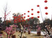 西安植物园旅游攻略 之 梅花节