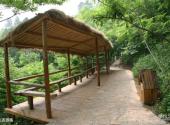 临沂天上王城景区旅游攻略 之 生态游路