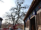 抚顺赫图阿拉城旅游攻略 之 正白旗衙门