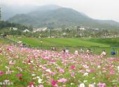 绵竹九龙山麓棠山旅游区旅游攻略 之 滑翔滑草基地