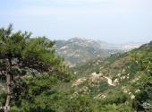 平度大泽山风景区旅游攻略 之 大姑顶