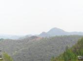新宾神树风景区旅游攻略 之 森林