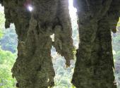 河口南溪河风景区旅游攻略 之 大围山