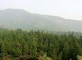 北京莽山森林公园旅游攻略 之 森林景观