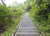 珠海将军山公园旅游攻略 之 登山步道