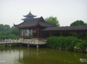 桐乡福严寺旅游攻略 之 古松林