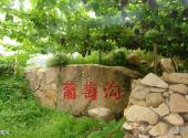 昌黎黄金海岸旅游区旅游攻略 之 葡萄沟