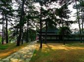 承德避暑山庄旅游攻略 之 万壑松风