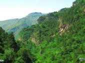 北京上方山国家森林公园旅游攻略 之 森林
