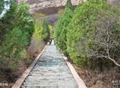 平山佛光山生态风景区旅游攻略 之 八百云梯