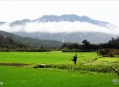 江门川岛旅游攻略 之 茶湾